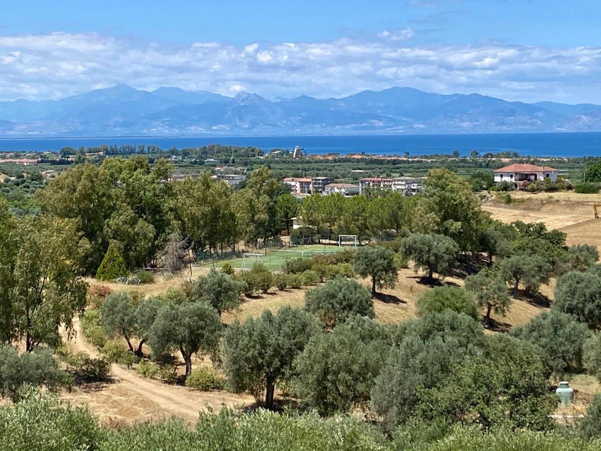 Гостевой дом Le Colline Del Gelso-Masseria Mazzei Россано Экстерьер фото